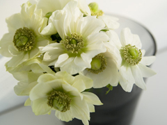 いしかわ主婦白書