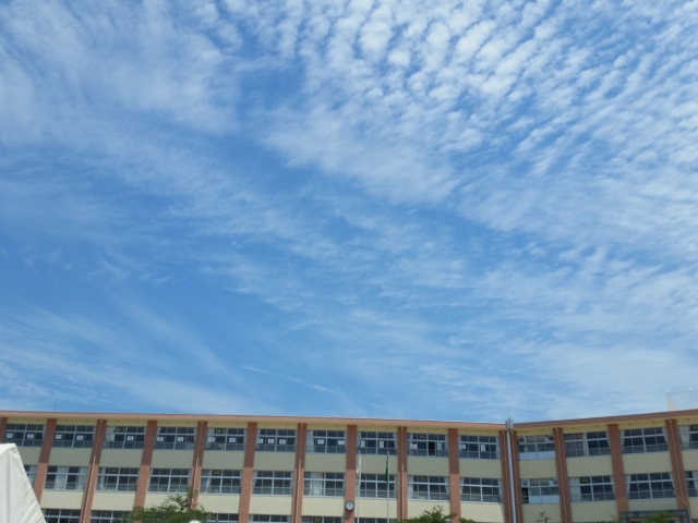 いしかわ主婦白書