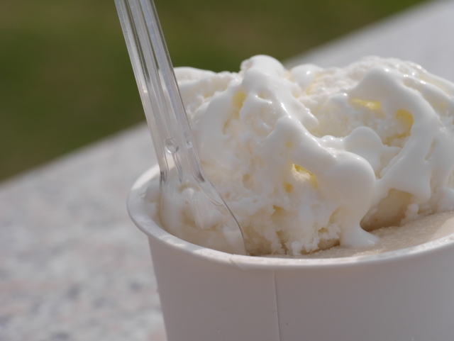 いしかわ主婦白書