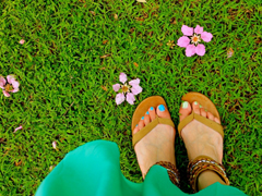 いしかわ主婦白書