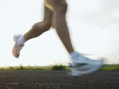 いしかわ主婦白書